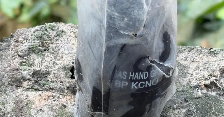 উদ্ধারকৃত টিয়ারশেল